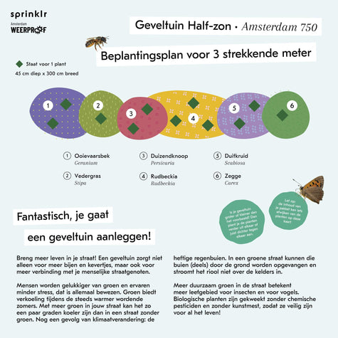 Geveltuin Half-Zon - Amsterdam 750