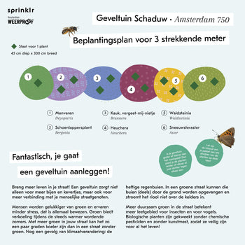 Geveltuin Schaduw - Amsterdam 750
