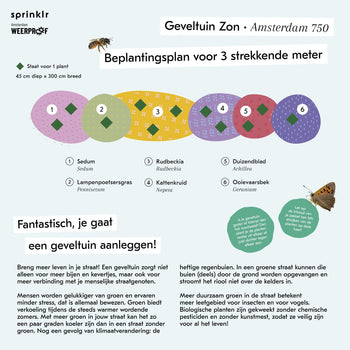 Geveltuin Zon - Amsterdam 750