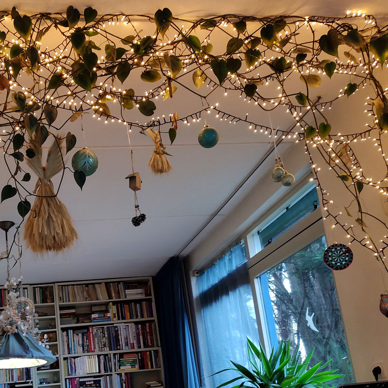 Philodendron scandens hangend met kerstverlichting