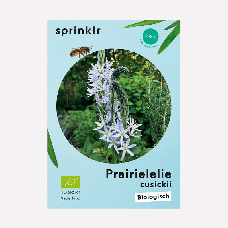 Label van de biologisch gekweekte Prairielelie cusickii