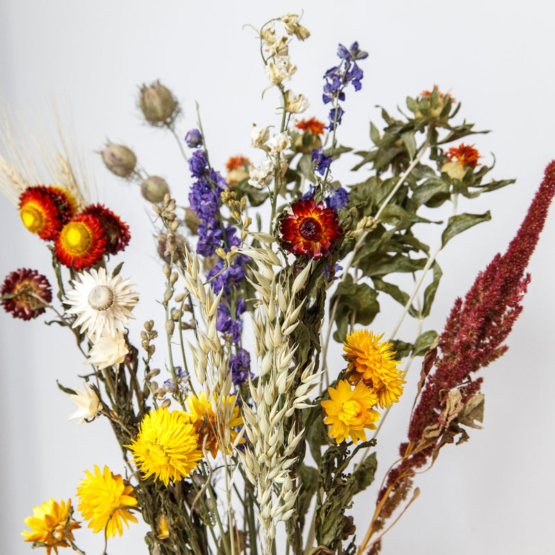 Close up van rode, blauwe en gele bloemen van een droogbloemenboeket