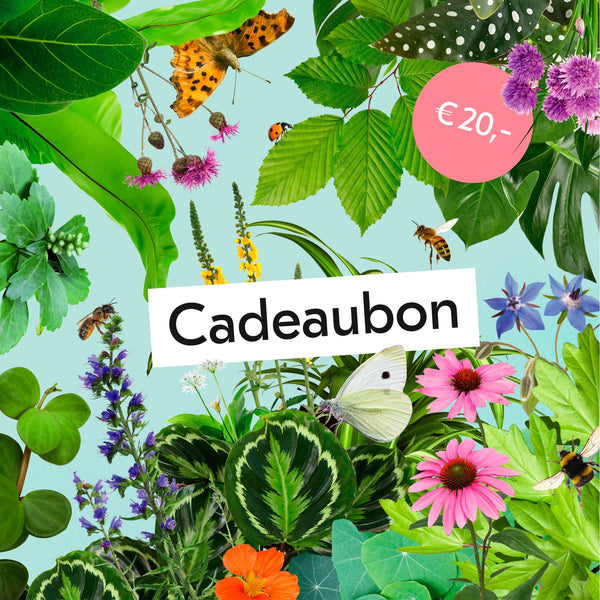 Digitale Cadeaubon