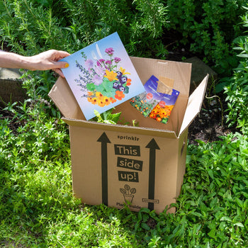 Eetbare Bloementuintje