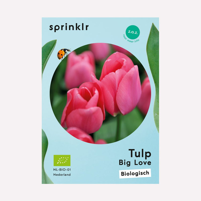 Label van biologisch gekweekte Tulp Big Love