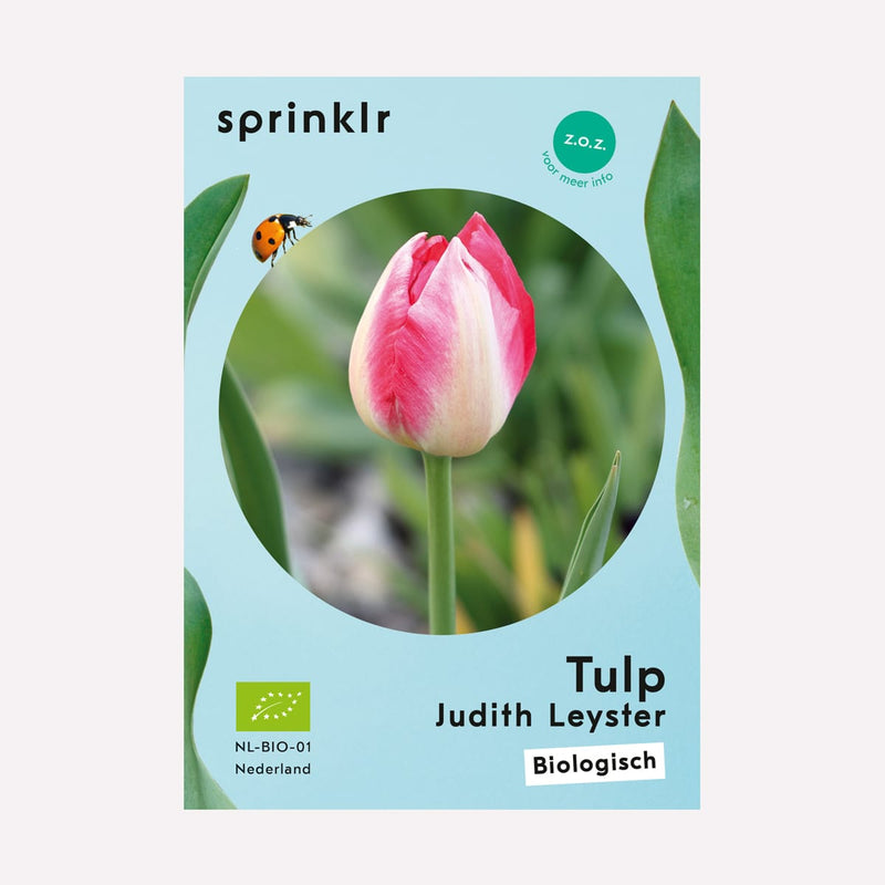 Label van de biologisch gekweekte Tulp Judith Leyster