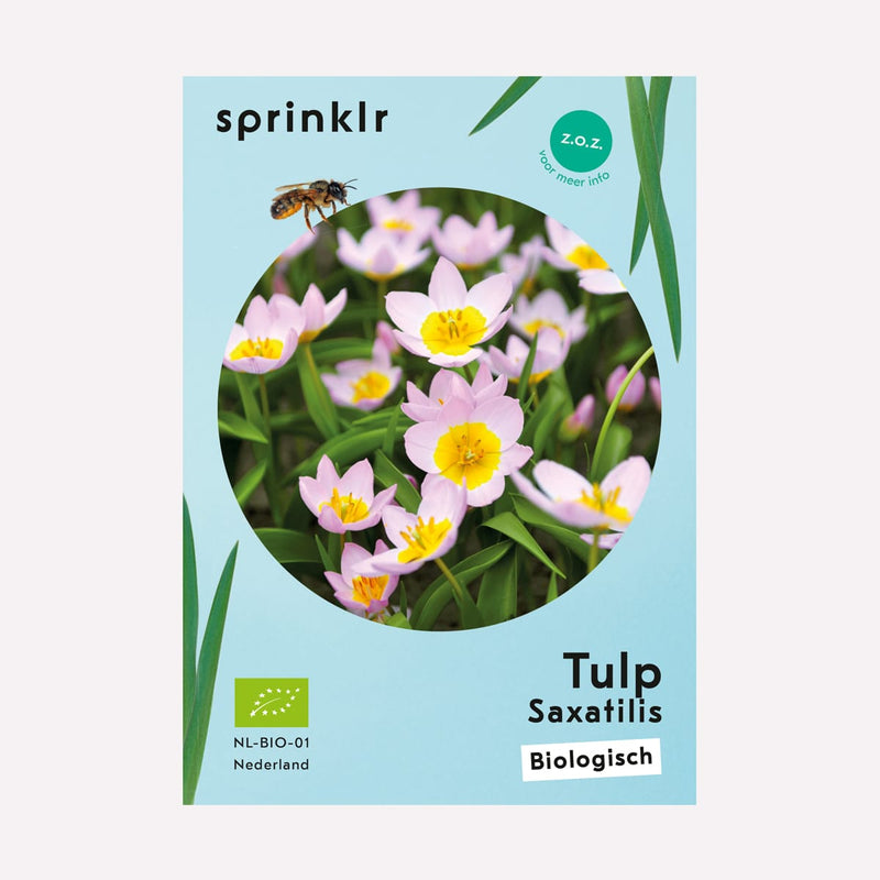 Label van de biologisch gekweekte Tulp Saxatilis