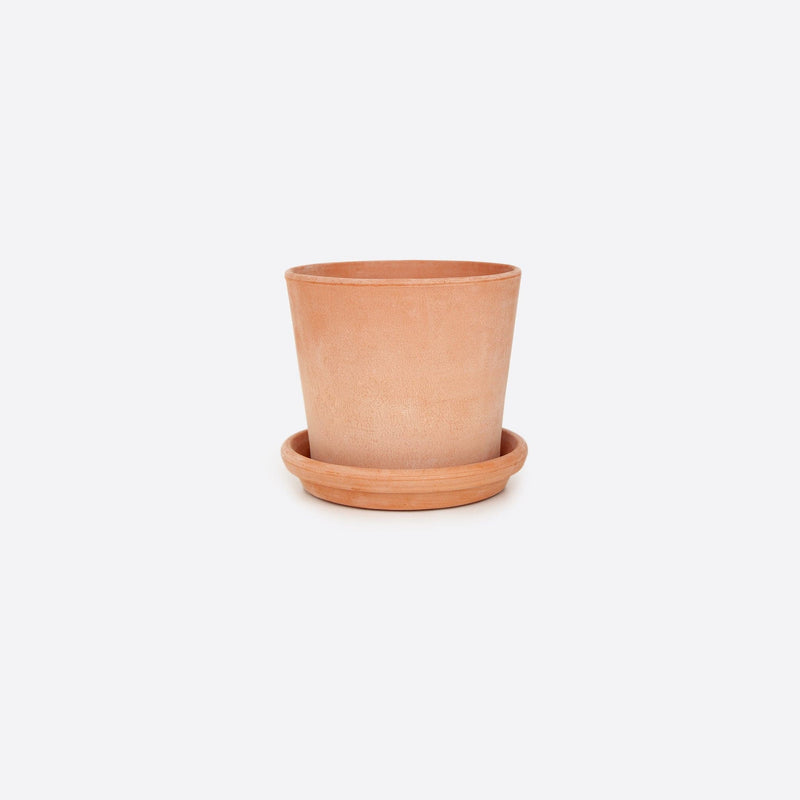 vaso terracotta pot licht 