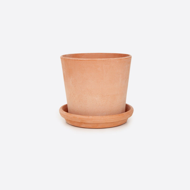 vaso terracotta licht plantenpot