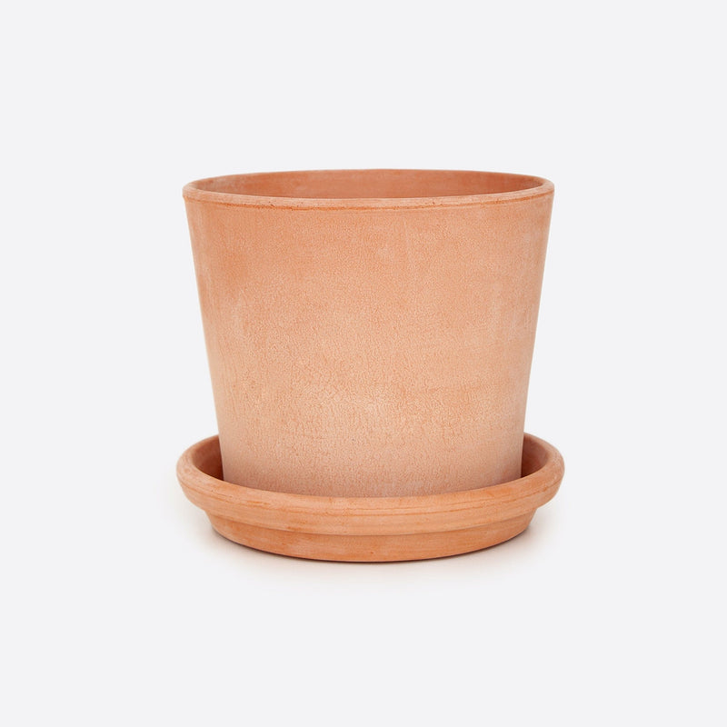 vaso terracotta plantenpot licht