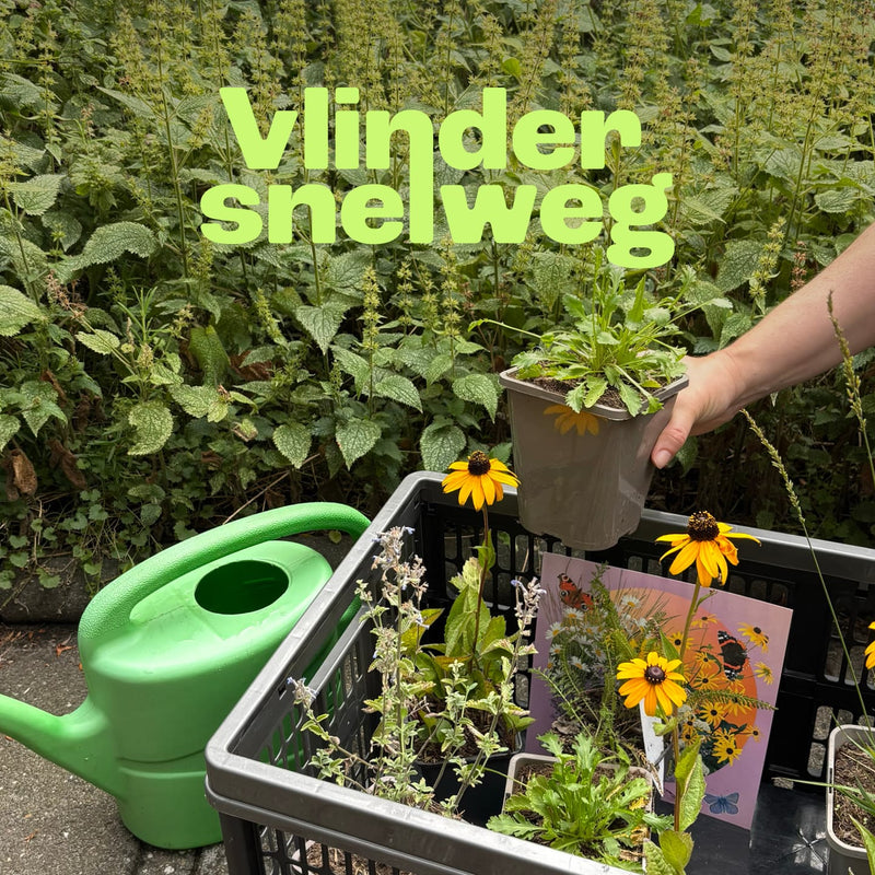 Vlindergroen Halfzon / Schaduw