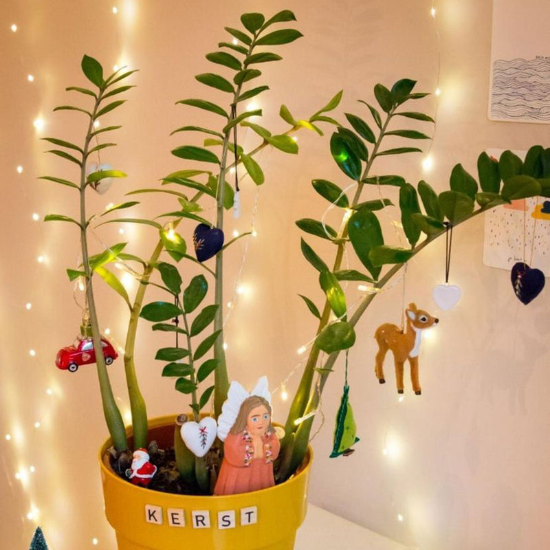 ZZ plant versierd met kerstverlichting en ornamenten