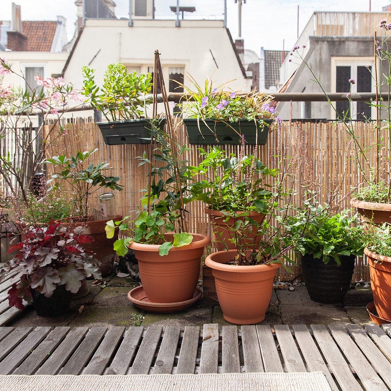 balkontuintje zon, potten met planten en bloemen op dakterras