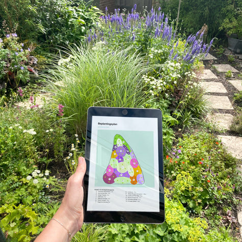 beplantingsplan
