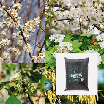 Heestermix Bijenparadijs