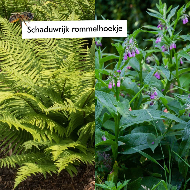 Boost de biodiversiteit