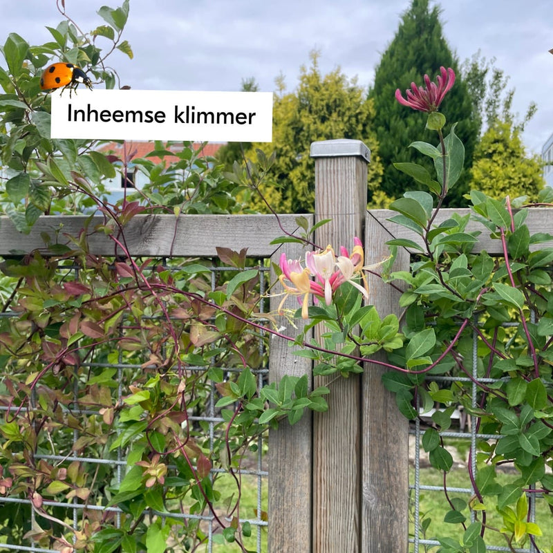 Boost de biodiversiteit