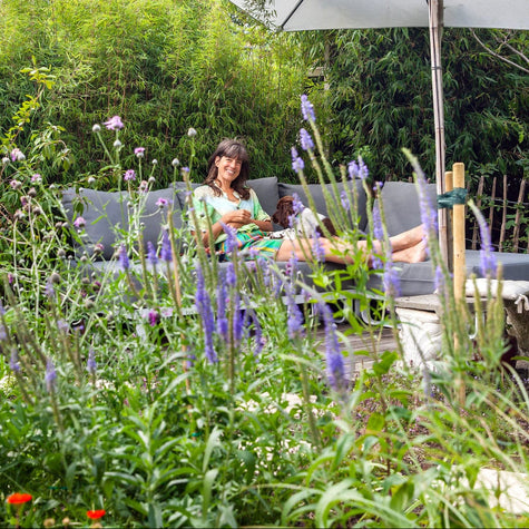 tuinfoto met parasol en lavendel