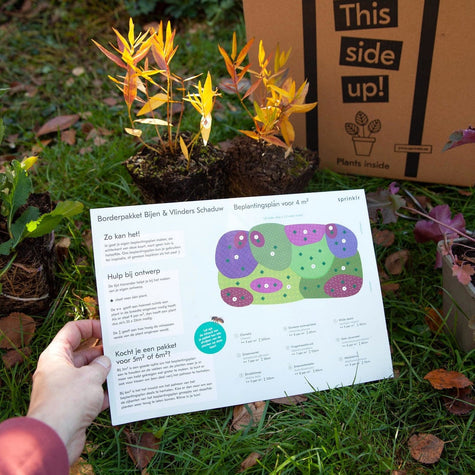 Borderpakket Bijen & Vlinders Schaduw