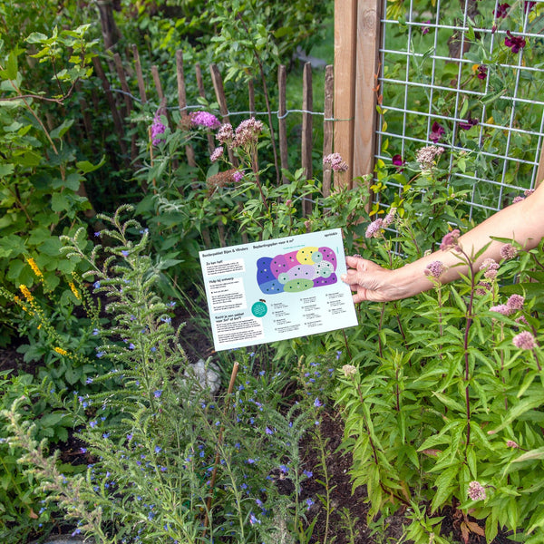 Borderpakket Bijen & Vlinders