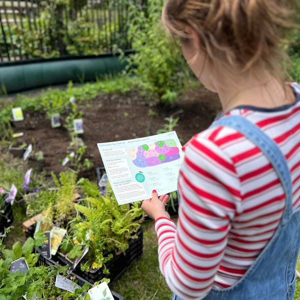 Borderpakket Robuust