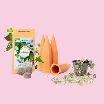 Cadeaupakket kamerplantenliefde