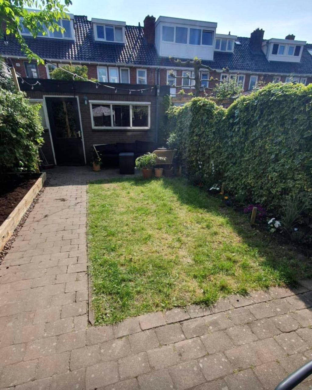 de huiberts in bollen velden