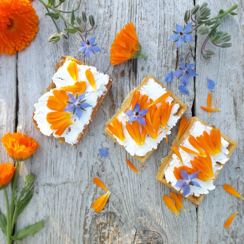 Zadenpakketje Eetbare bloemen