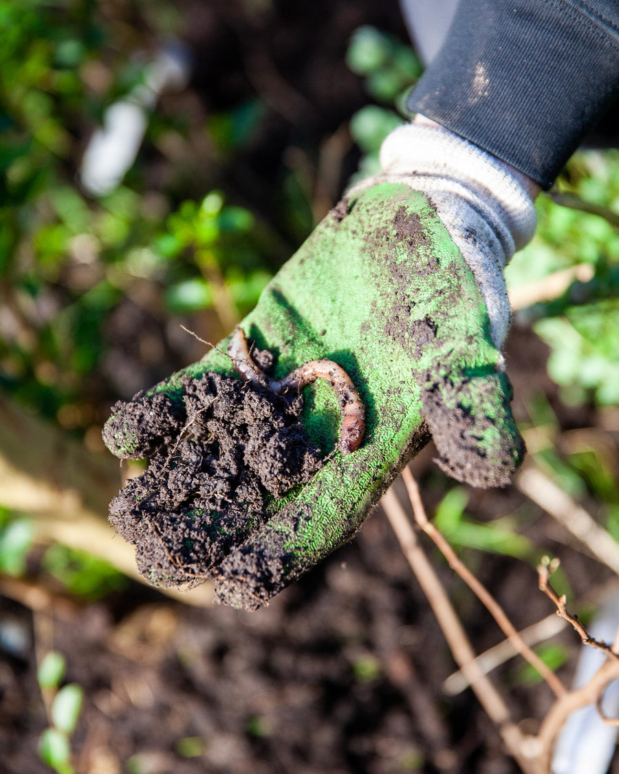 Goed voor bodemleven