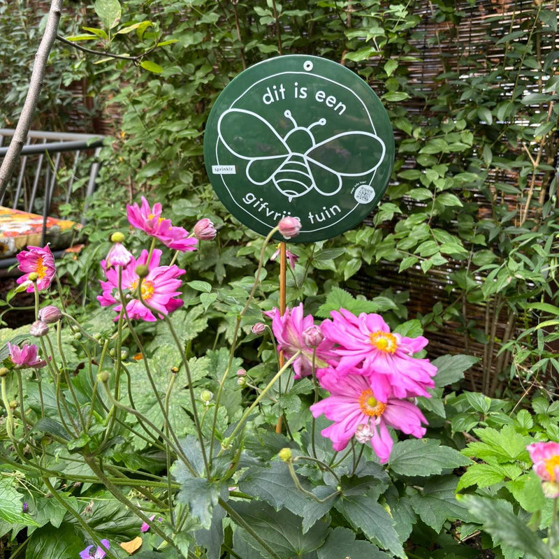 Herfstanemoon Pamina in de tuin van Annette september 2026