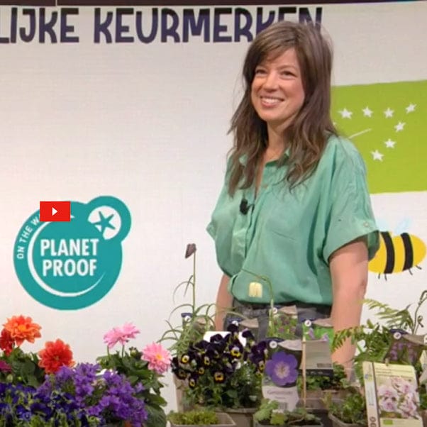 Live bij Kassa