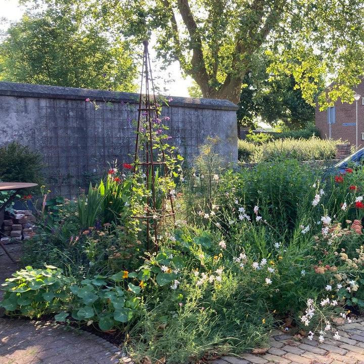 Sprinklr border op maat in de voortuin