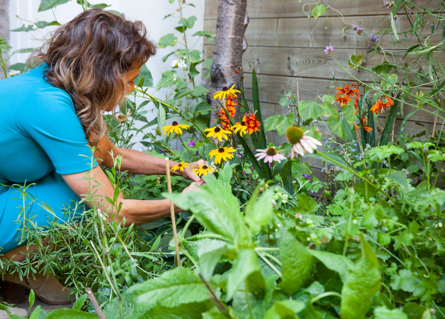 135.000 klanten > bio