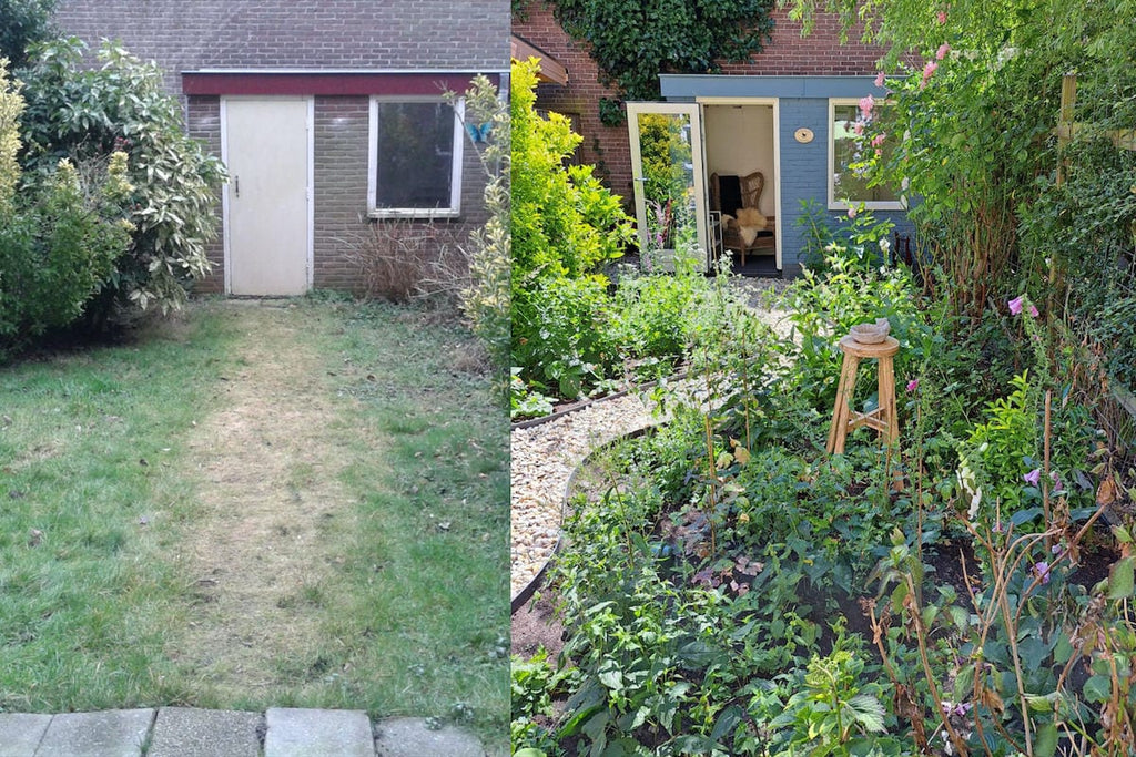 de huiberts in bollen velden