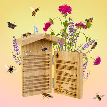 Moederdag Bijenpakketje