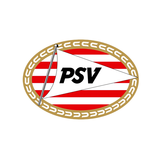 PSV bedrijfslogo