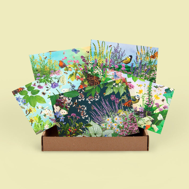doosje met ansichtkaarten met bloemen en planten