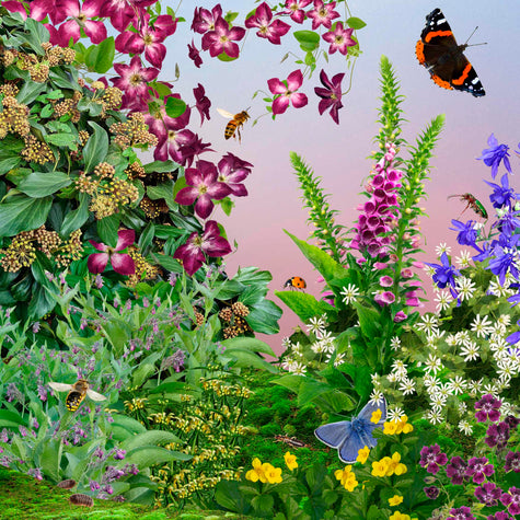 Borderpakket Bijen & Vlinders Schaduw