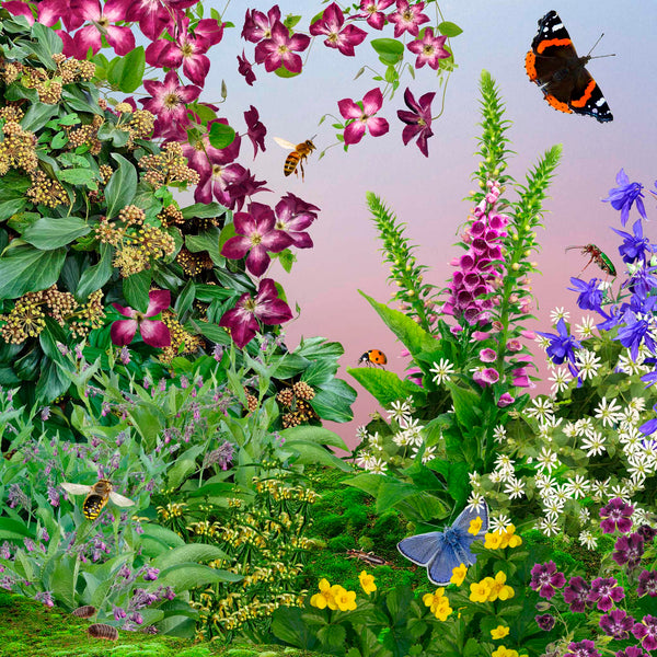 Borderpakket Bijen & Vlinders Schaduw