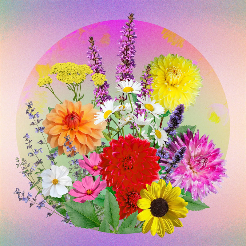collage van snijbloemen in allerlei kleuren
