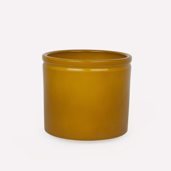 Mosterd Glanzend Ø23