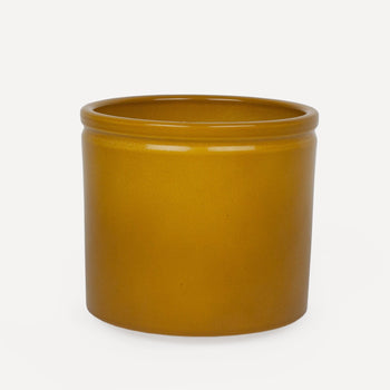 Mosterd Glanzend Ø27