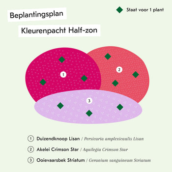 Kleurenpracht Half-zon