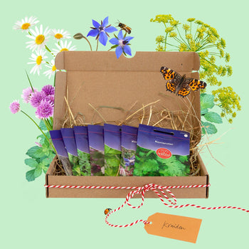 Zadenpakketje Kruiden