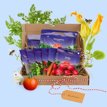 Zadenpakketje Moestuin