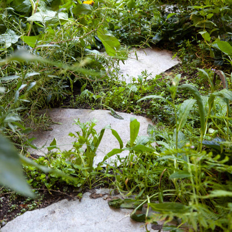 Stapstenenpakket Half-Zon - Schaduw