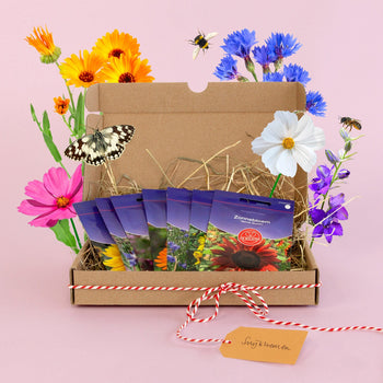 Zadenpakketje Pluktuin