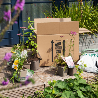 tuinplanten naast doos Sprinklr