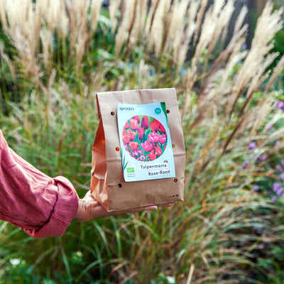 Tulpenmanie Roze-Rood