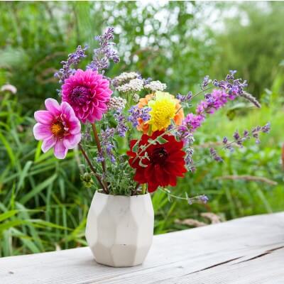 Pluktuin boeket dahlia's